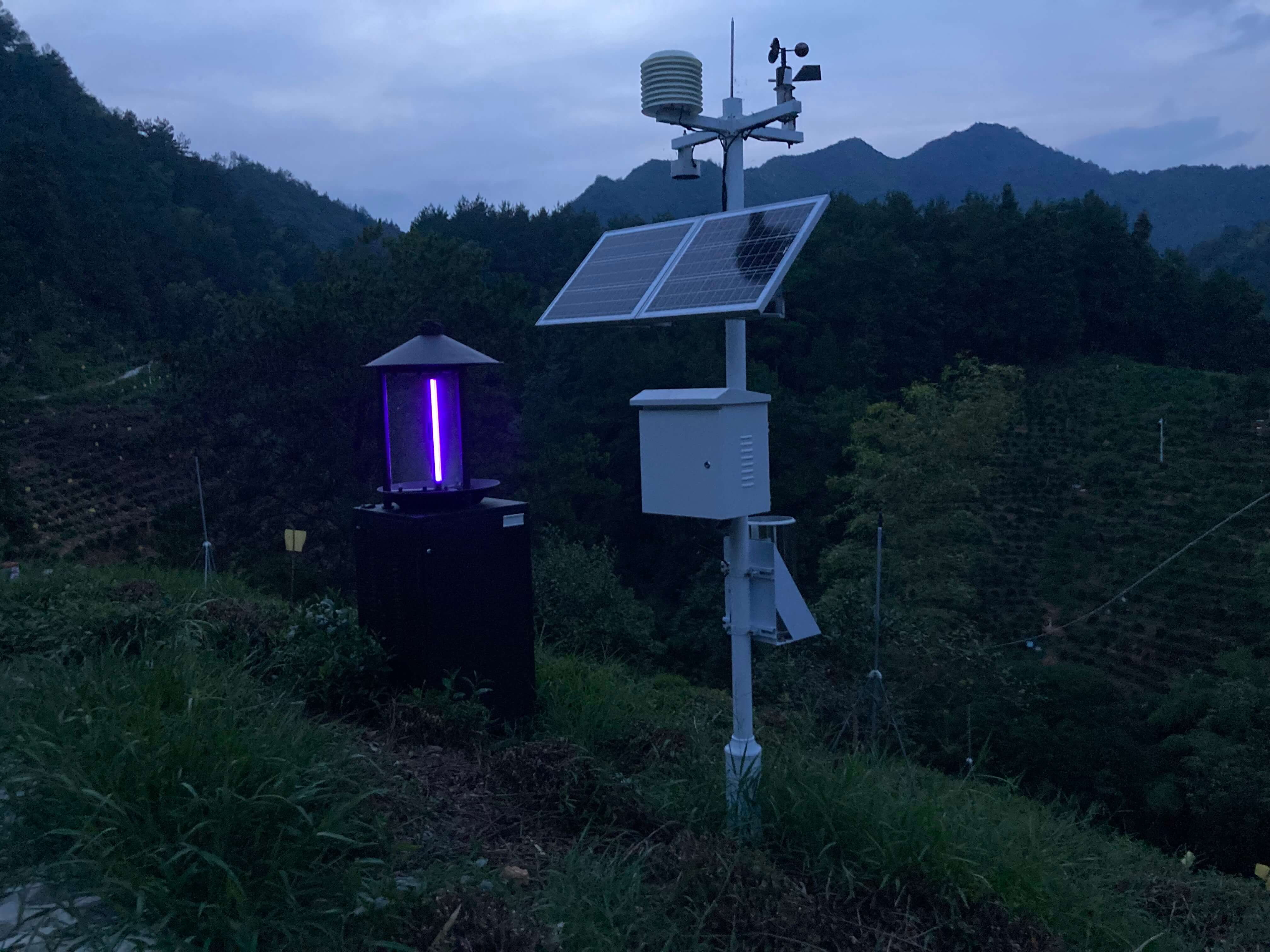 都成产品助力安徽黄山数字茶园建设