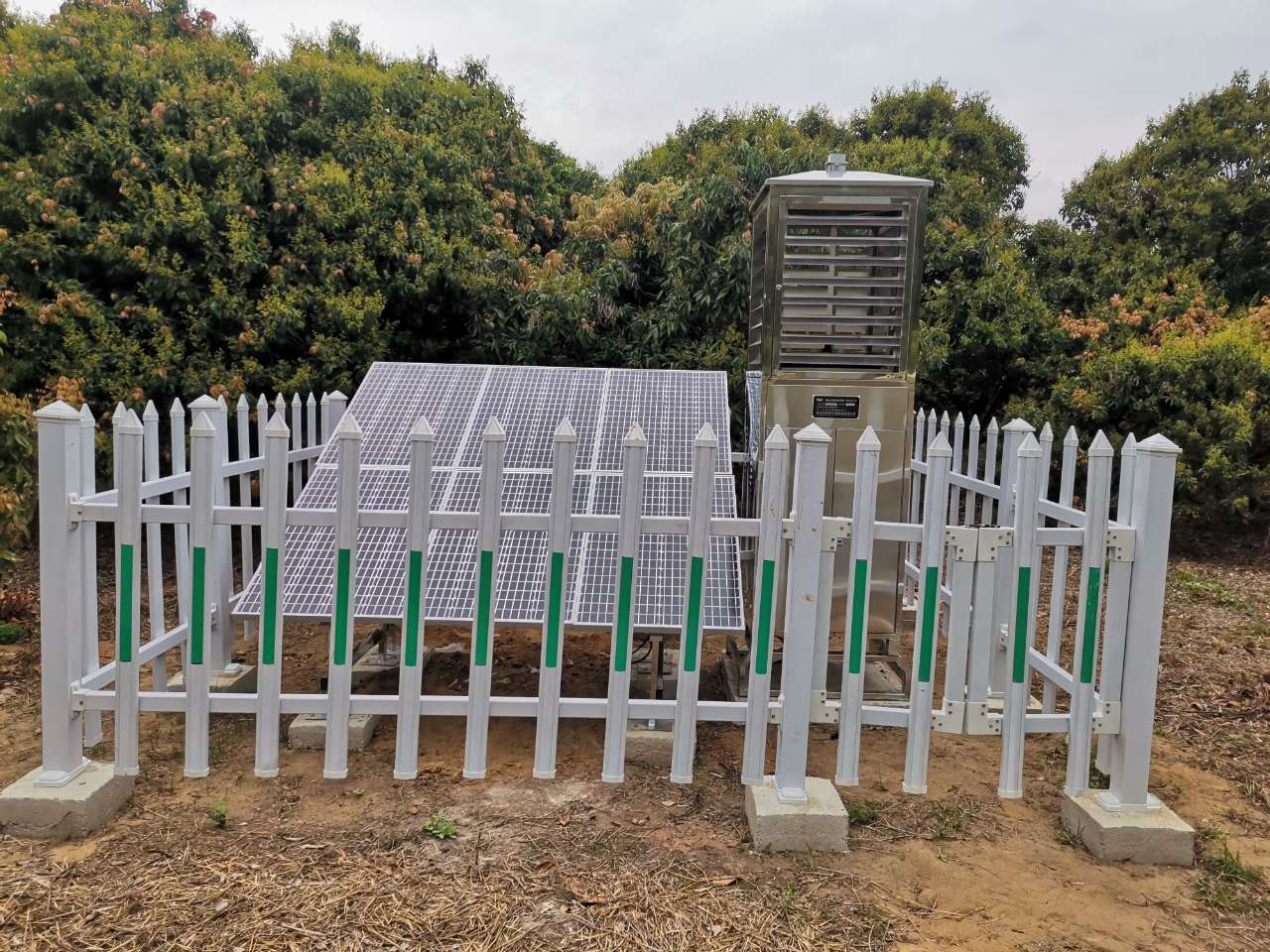  建标准基地，育富民产业：都成虫情测报灯走进广东荔枝生产基地